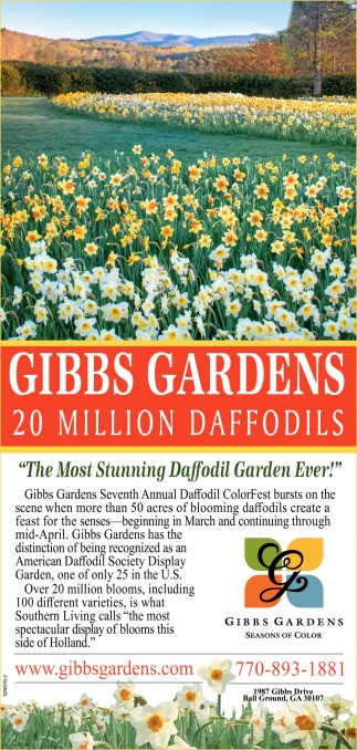 The Most Stunning Daffodil Garden Ever Gibbs Gardens Ball